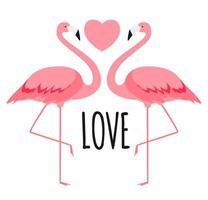 leuke kaart met flamingo's. liefde en Valentijnsdag achtergrond. vector illustratie