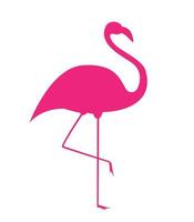 kleurrijke cartoon roze flamingo op één been staat op een witte achtergrond. vector illustratie