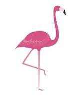 kleurrijke cartoon roze flamingo op één been staat op een witte achtergrond. vector illustratie