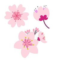 kers bloesem roze bloem voorjaar bloemen sakura Japan illustratie vector