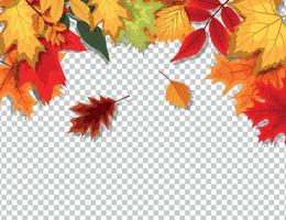 abstracte vectorillustratie met vallende herfstbladeren op transparante background vector