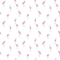 kleurrijke roze flamingo geïsoleerd op een witte achtergrond. naadloos patroon. vectorillustratie. vector