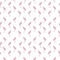 kleurrijke roze flamingo geïsoleerd op een witte achtergrond. naadloos patroon. vectorillustratie. vector