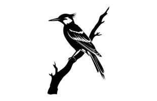 vlamrug specht vogel silhouet, een specht zwart silhouet klem kunst vector