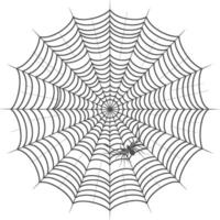 spin web zwart kleur enkel en alleen vector