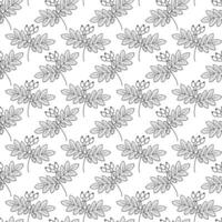 rozenbottel met bessen en bladeren naadloos patroon monochroom schetsen hand- getrokken botanisch achtergrond vector