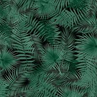 kleurrijke naturalistische tropische achtergrond van het blad van libistons palm. vector illustratie
