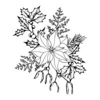 boeket van Kerstmis planten lijn kunst. inkt grafisch kerstster, takje van ilex met bessen, maretak, stoffig molenaar en coniferen groenblijvend boom. hand- geschilderd schets botanisch illustratie voor groeten vector