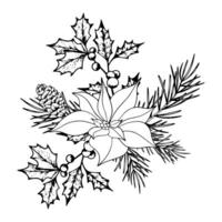 boeket van Kerstmis planten lijn kunst. inkt grafisch kerstster, takje van ilex met bessen, en coniferen groenblijvend boom. hand- geschilderd schets botanisch illustratie voor hartelijk groeten, kaarten, uitnodiging vector