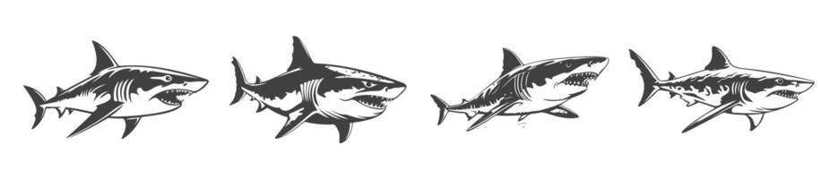 haai silhouet set, zwart en wit ontwerp, gegenereerd ai vector
