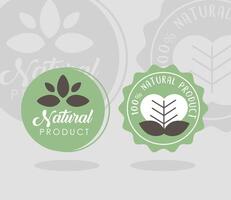 twee natuurlijke labels vector