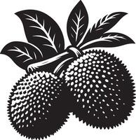 entawak fruit, zwart kleur silhouet vector