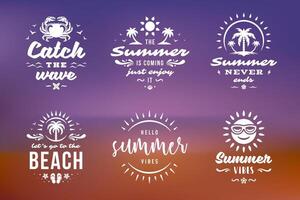 zomer vakantie typografie inspirerend citaten of gezegden ontwerp vector