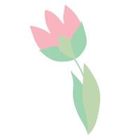 illustratie van een tekenfilm schattig roze tulp. roze tulp symbool of icoon. hand- getrokken voorjaar bloeiend bloem geïsoleerd Aan wit achtergrond. vlak ontwerp voorwerp voor groet kaart ontwerp, Dames dag vector