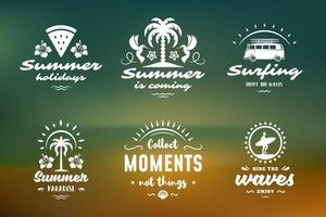 zomer vakantie typografie inspirerend citaten of gezegden ontwerp vector