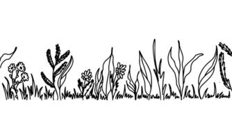 veld- bloemen. hand- getrokken tekening stijl. illustratie geïsoleerd Aan wit. kleur bladzijde. vector