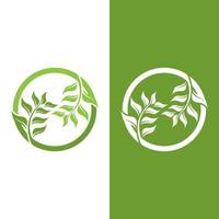 logo's van groene boom blad ecologie vector