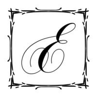 mooi wijnoogst monogram kader. overladen kalligrafische ontwerp element. illustratie vector