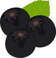 gezondheids- en voedingsvoordelen van cranberrysap aronia melanocarpa granaatappelsap vectorillustraties vector