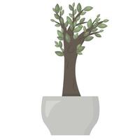 klein binnen- boom in een bloem pot vector