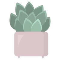 sappig in een roze bloem pot. groen kamerplant geïsoleerd Aan de wit achtergrond vector