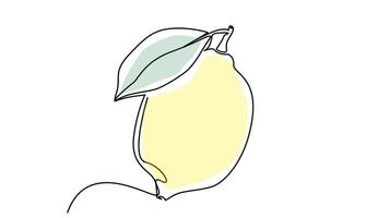 vers rijp geel citroen fruit lijn kunst vector