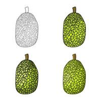 jack fruit reeks illustratie vector