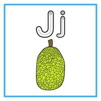 traceren alfabet vlak jack fruit illustratie vector