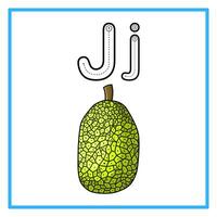 traceren alfabet jack fruit illustratie vector