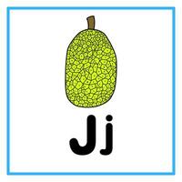 vlak jack fruit alfabet j iilustration vector