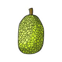 jack fruit illustratie vector