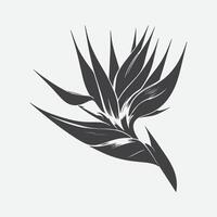 afdrukken voortreffelijk silhouet van de vogel van paradijs bloem, een botanisch meesterwerk vector