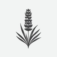 afdrukken elegant lavendel bloem silhouet, een tijdloos symbool van schoonheid en kalmte vector