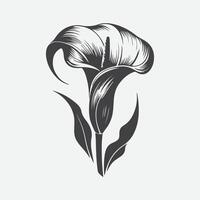 afdrukken etherisch elegantie, majestueus silhouet van de calla lelie bloem vector