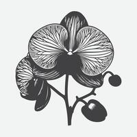 afdrukken elegant orchidee bloem silhouet, een tijdloos symbool van genade en schoonheid vector