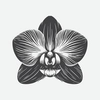 afdrukken elegant orchidee bloem silhouet, een tijdloos symbool van genade en schoonheid vector