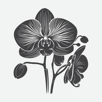 afdrukken elegant orchidee bloem silhouet, een tijdloos symbool van genade en schoonheid vector