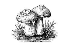 Woud champignons hand- getrokken inkt schetsen. gravure wijnoogst stijl illustratie. vector