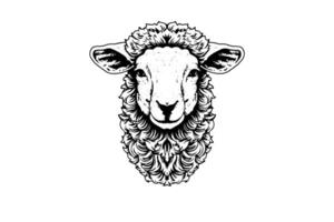 schapen logotype hand- getrokken inkt schetsen. gegraveerde stijl illustratie. vector