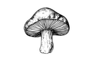 Woud champignons hand- getrokken inkt schetsen. gravure wijnoogst stijl illustratie. vector