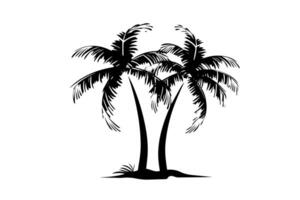 palm boom met kokosnoot hand- getrokken schetsen. inkt silhouet illustratie. vector