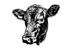 wijnoogst schetsen van een koe hoofd hand getekend illustratie van zuivel boerderij dier. vector