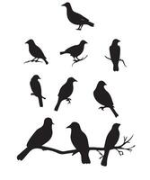 reeks van zwart vogel silhouetten. vector