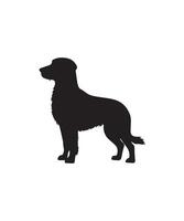 hond silhouetten ontwerp vector