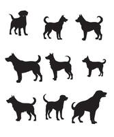 hond silhouetten ontwerp vector