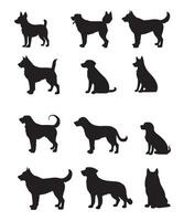 hond silhouetten ontwerp vector