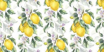 citroen takken met fruit, bloemen en bladeren. hand- getrokken waterverf naadloos patroon. afdrukken van tropisch citrus fruit. achtergrond voor menu, pakket, kunstmatig, textiel, kaarten vector