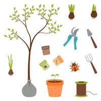 een reeks voor aanplant planten - zaden, zaailingen, jonge boom. tuinieren, Bijsnijden productie. vector