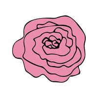 schattig single hand- getrokken bloemen elementen. tekening illustratie vector