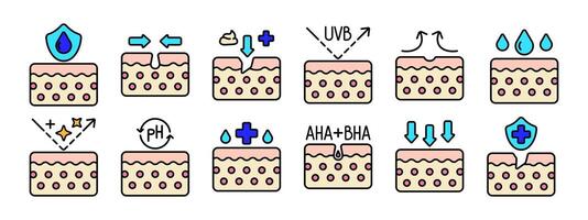 huid zorg reeks icoon. hydratatie schild, afschilfering, uvb bescherming, geruststelling, hydraterend, ph evenwicht, aha bha behandeling, anti-veroudering, diep absorptie, huid bescherming. huid zorg, schoonheid. vector